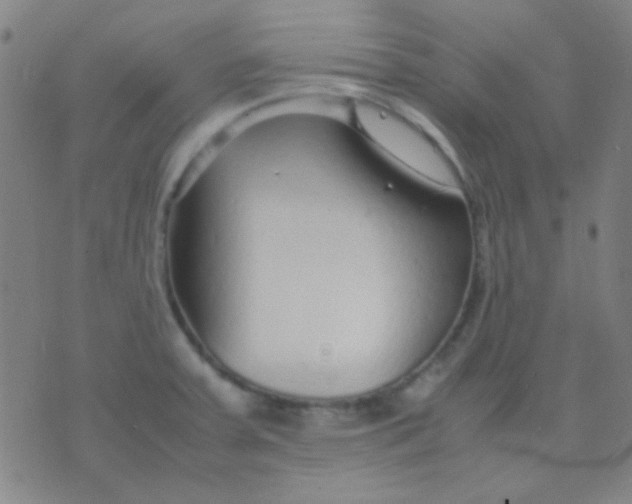 X0000075841379200610061836