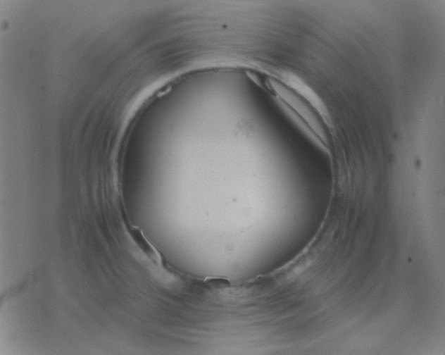 X0000075841380200610061836