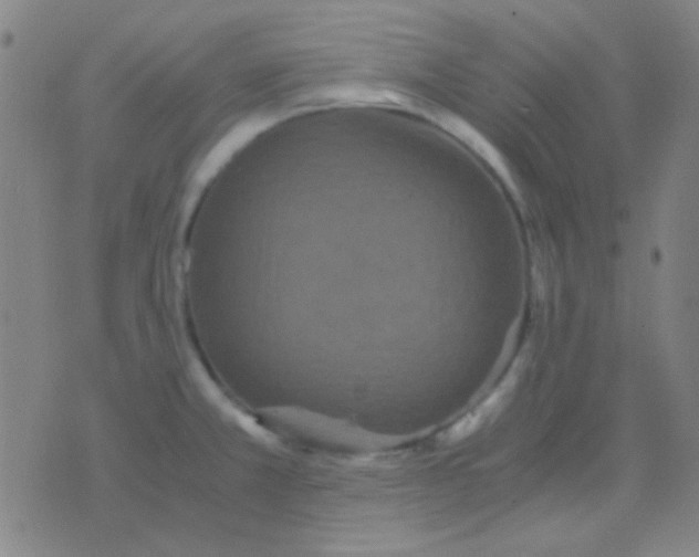 X0000075841381200610061836