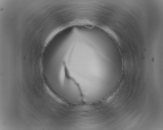 X0000075841382200610061836