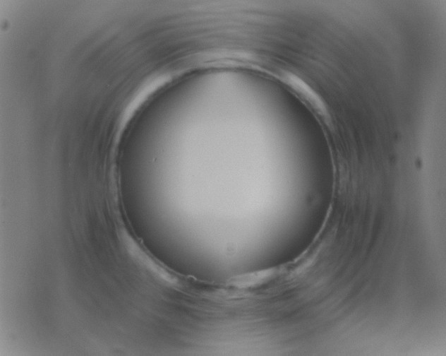 X0000075841384200610061836