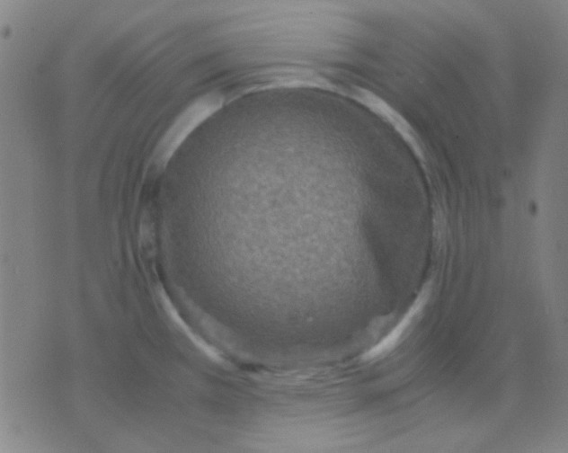 X0000075841385200610061836