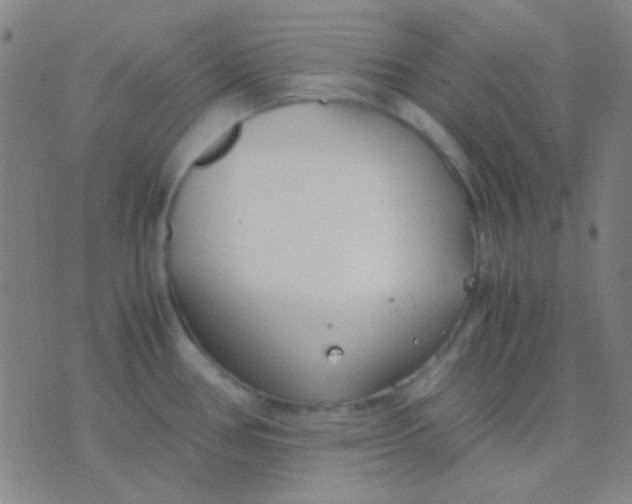 X0000075841386200610061836