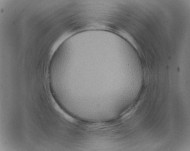 X0000075841387200610061836