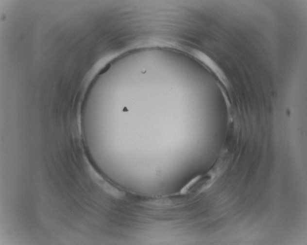 X0000075841388200610061836