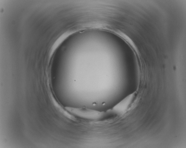 X0000075841389200610061836