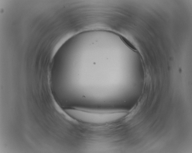 X0000075841390200610061836