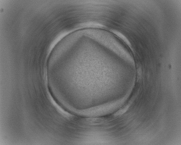 X0000075841391200610061836