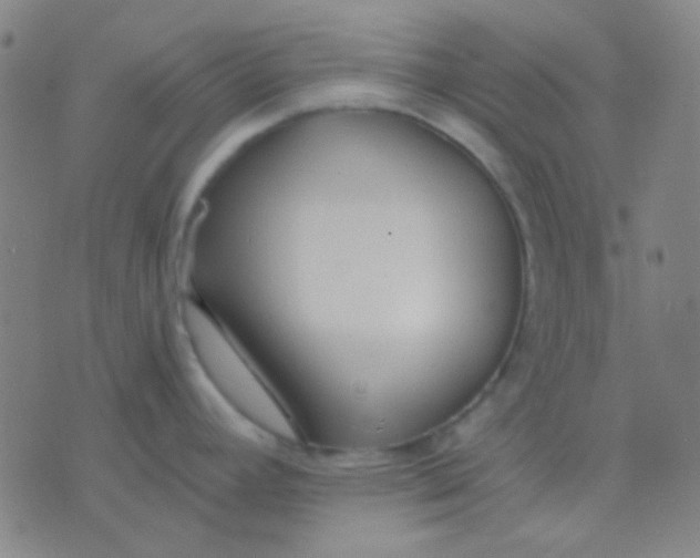 X0000075841392200610061836