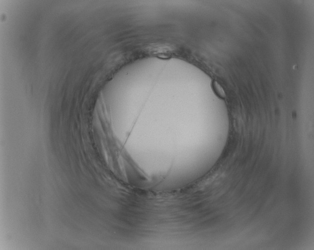 X0000075841393200610061835