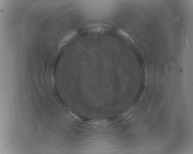 X0000075841394200610061835