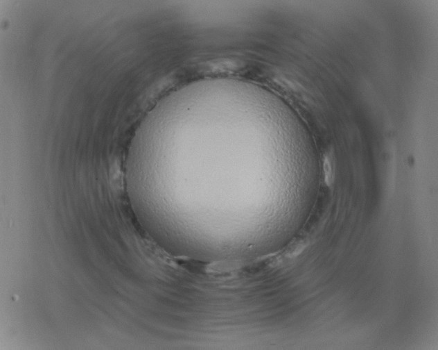 X0000075841395200610061835