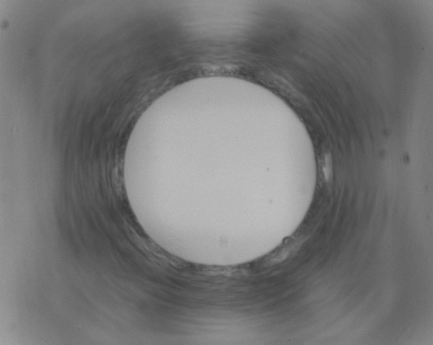 X0000075841396200610061835