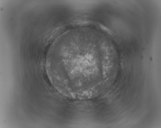 X0000075841397200610061835