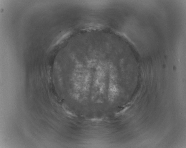 X0000075841399200610061835