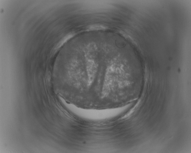 X0000075841401200610061835