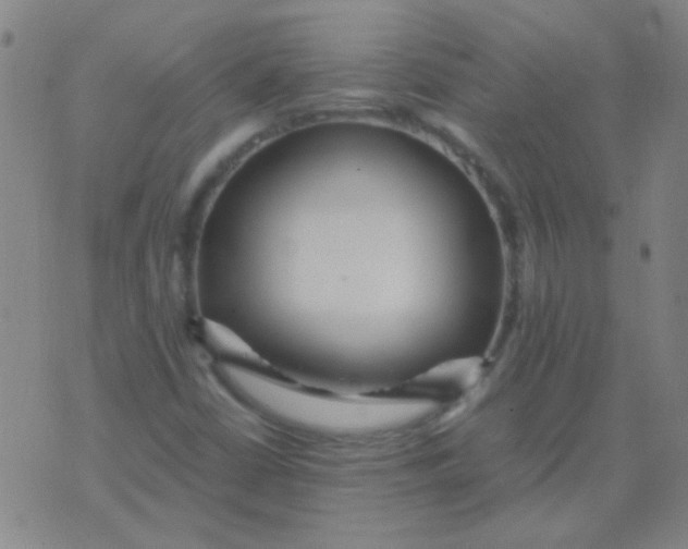 X0000075841402200610061835