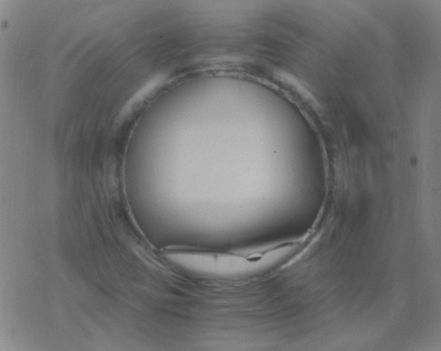 X0000075841403200610061835