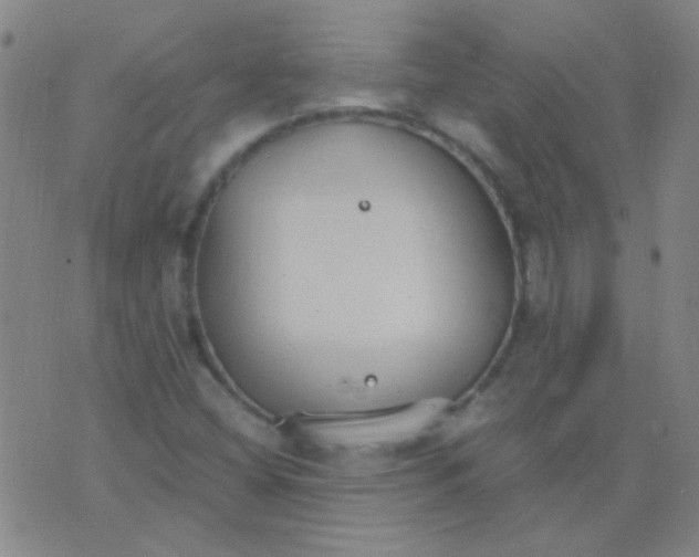 X0000075841404200610061835