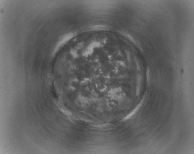 X0000075841405200610061835