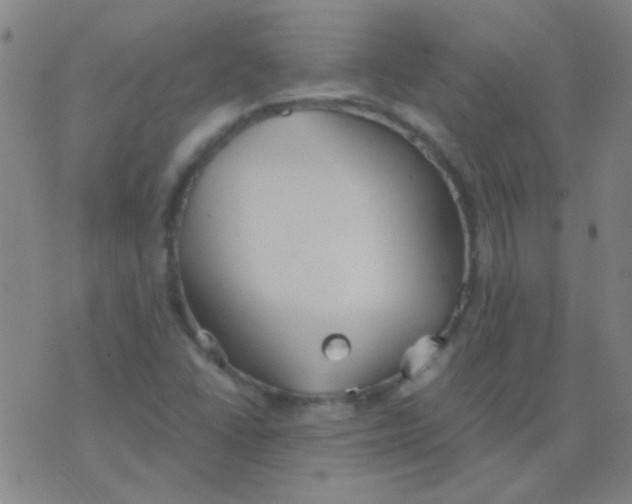 X0000075841406200610061835