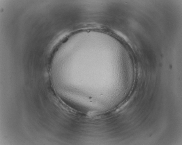 X0000075841407200610061835