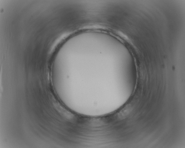 X0000075841408200610061835