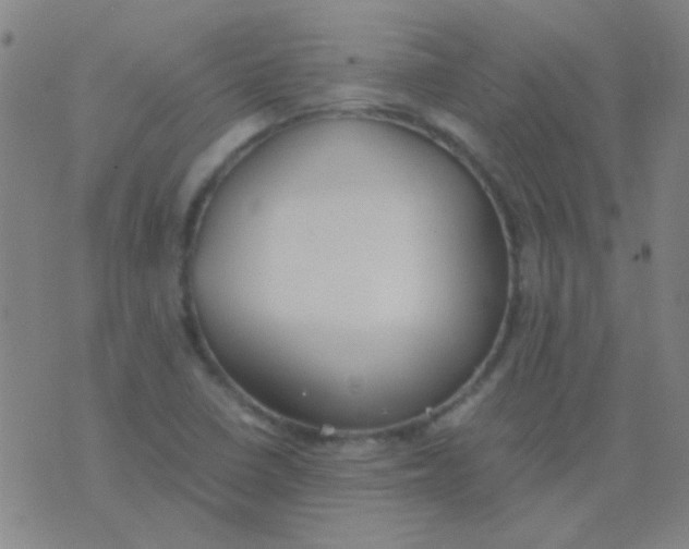 X0000075841410200610061836