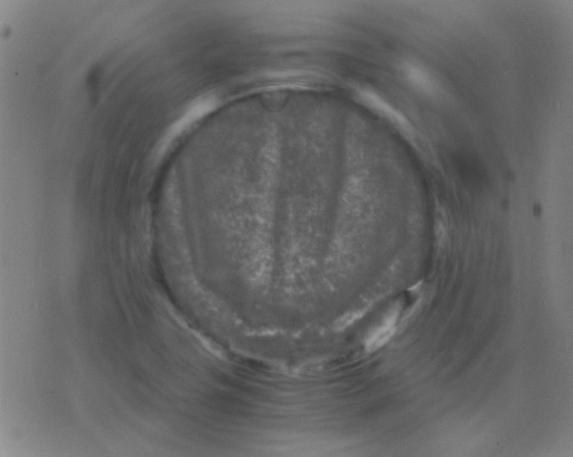 X0000075841411200610061836