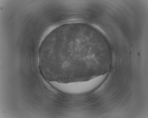 X0000075841413200610061836