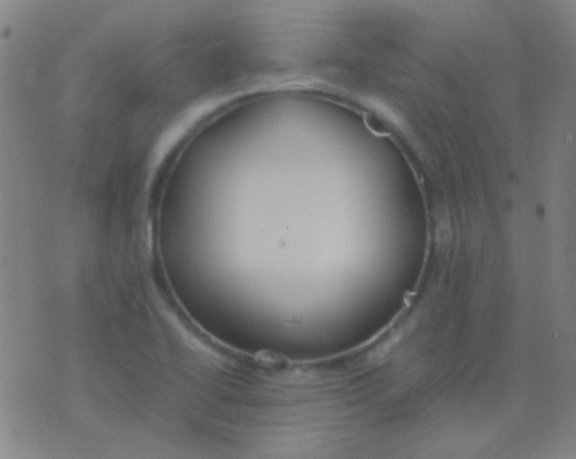 X0000075841414200610061836