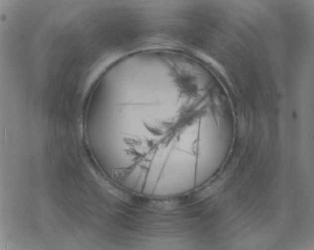 X0000075841415200610061836