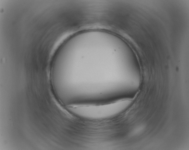 X0000075841416200610061836