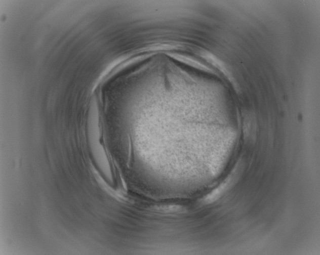 X0000075841417200610061836