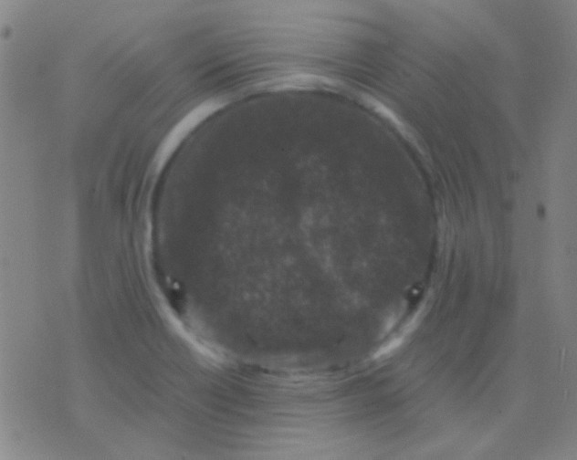 X0000075841418200610061836