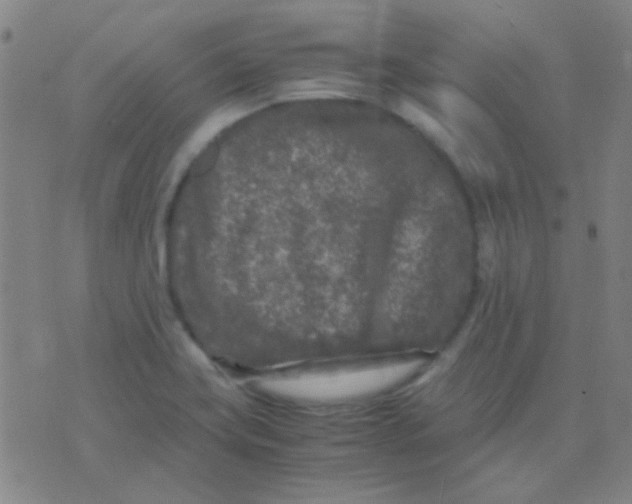 X0000075841419200610061836