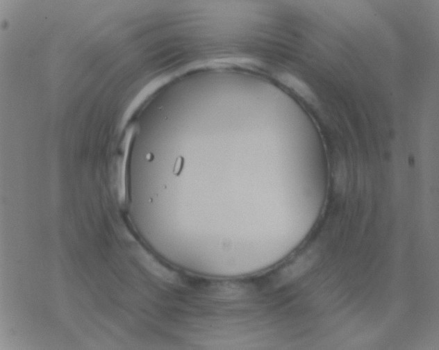 X0000075841420200610061836