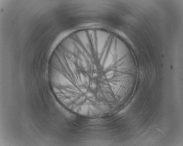 X0000075841421200610061836