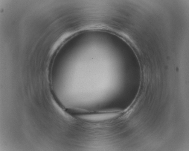 X0000075841422200610061836