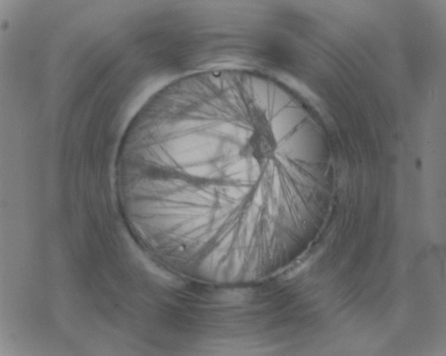 X0000075841423200610061836