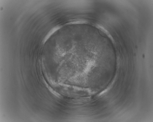 X0000075841425200610061836