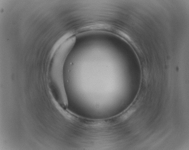 X0000075841426200610061836