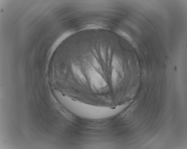 X0000075841427200610061836