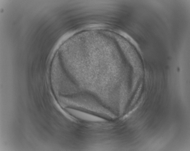 X0000075841429200610061836