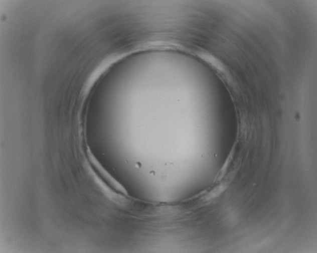 X0000075841430200610061836