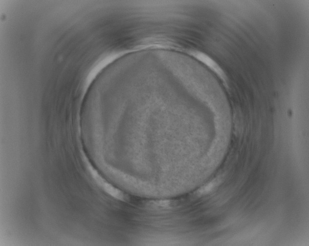 X0000075841431200610061836