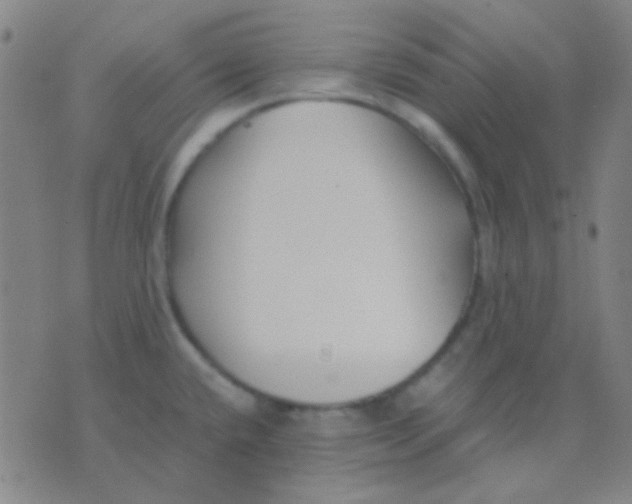 X0000075841432200610061836