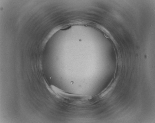 X0000075841433200610061836