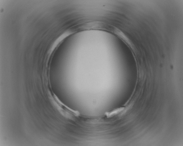 X0000075841434200610061836