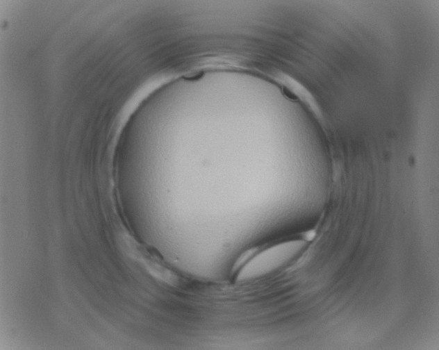 X0000075841435200610061836